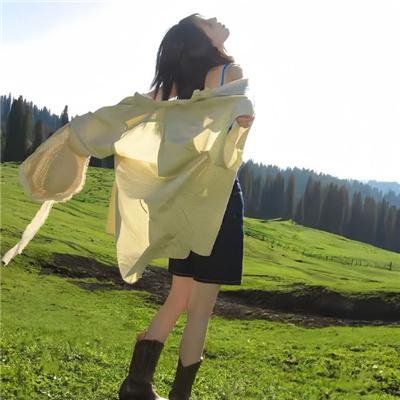 蛇鹤八步粤语